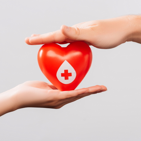 20 апреля  День донора крови: как гарантии предусмотрены в ТК РФ
