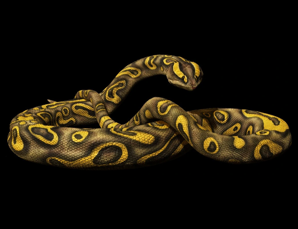 Найден один из крупнейших видов древних змей